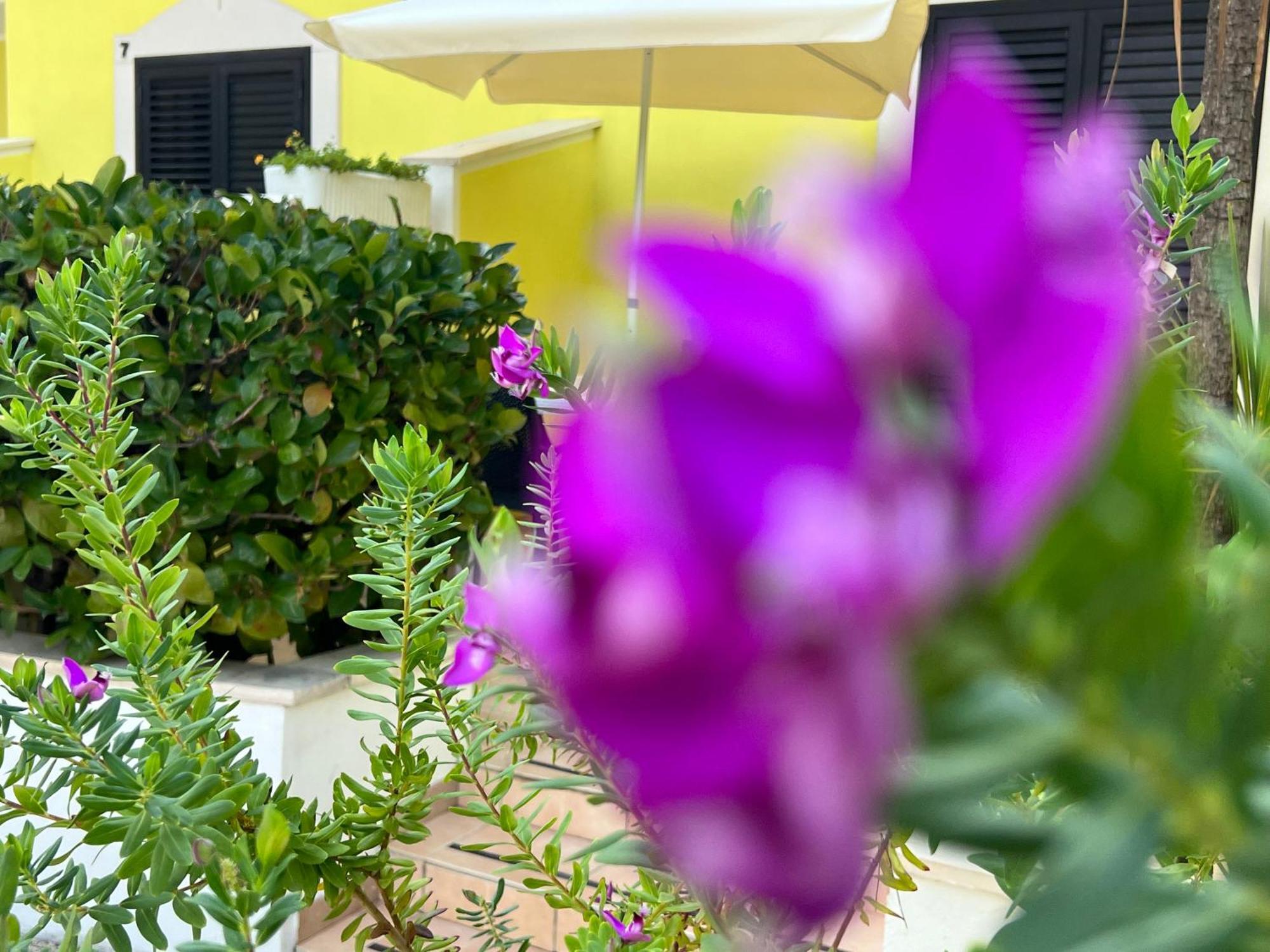Argeste Club Vacanze Vieste Ngoại thất bức ảnh